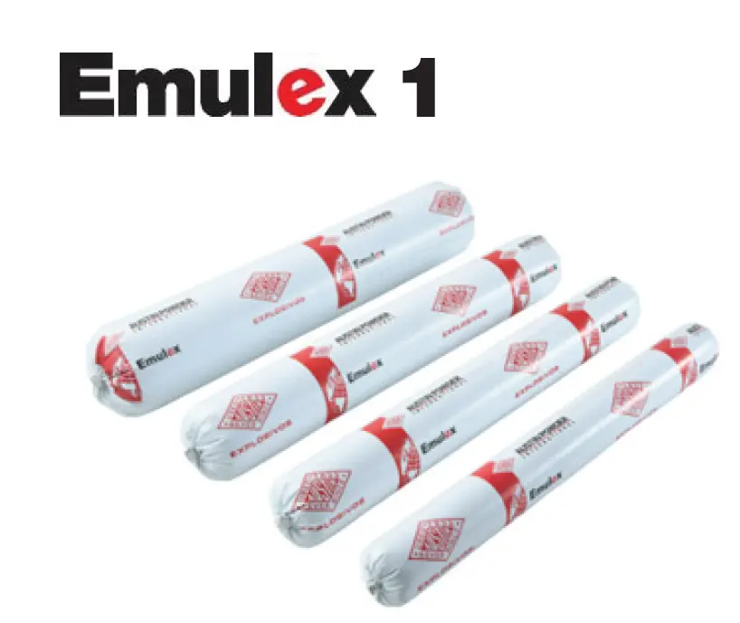 Emulex 1