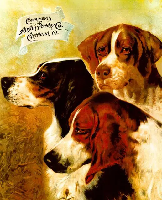 Austin Powder original dogs