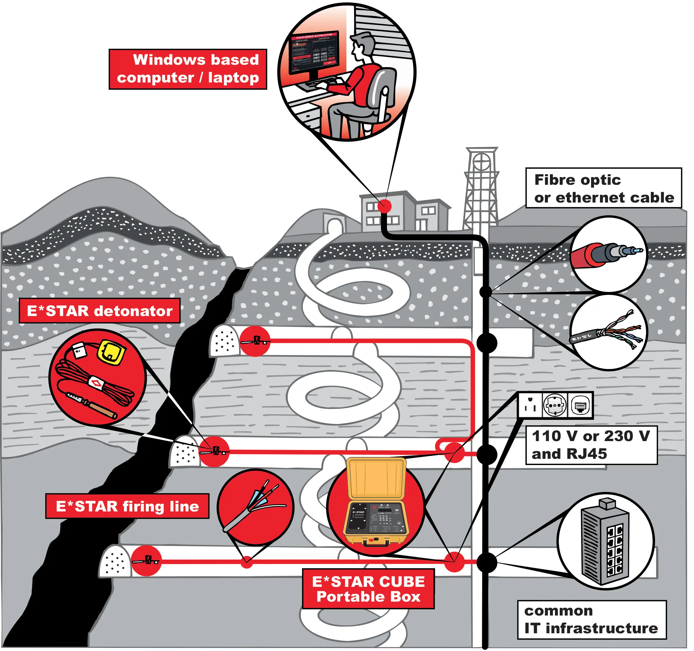 Schema Diagram