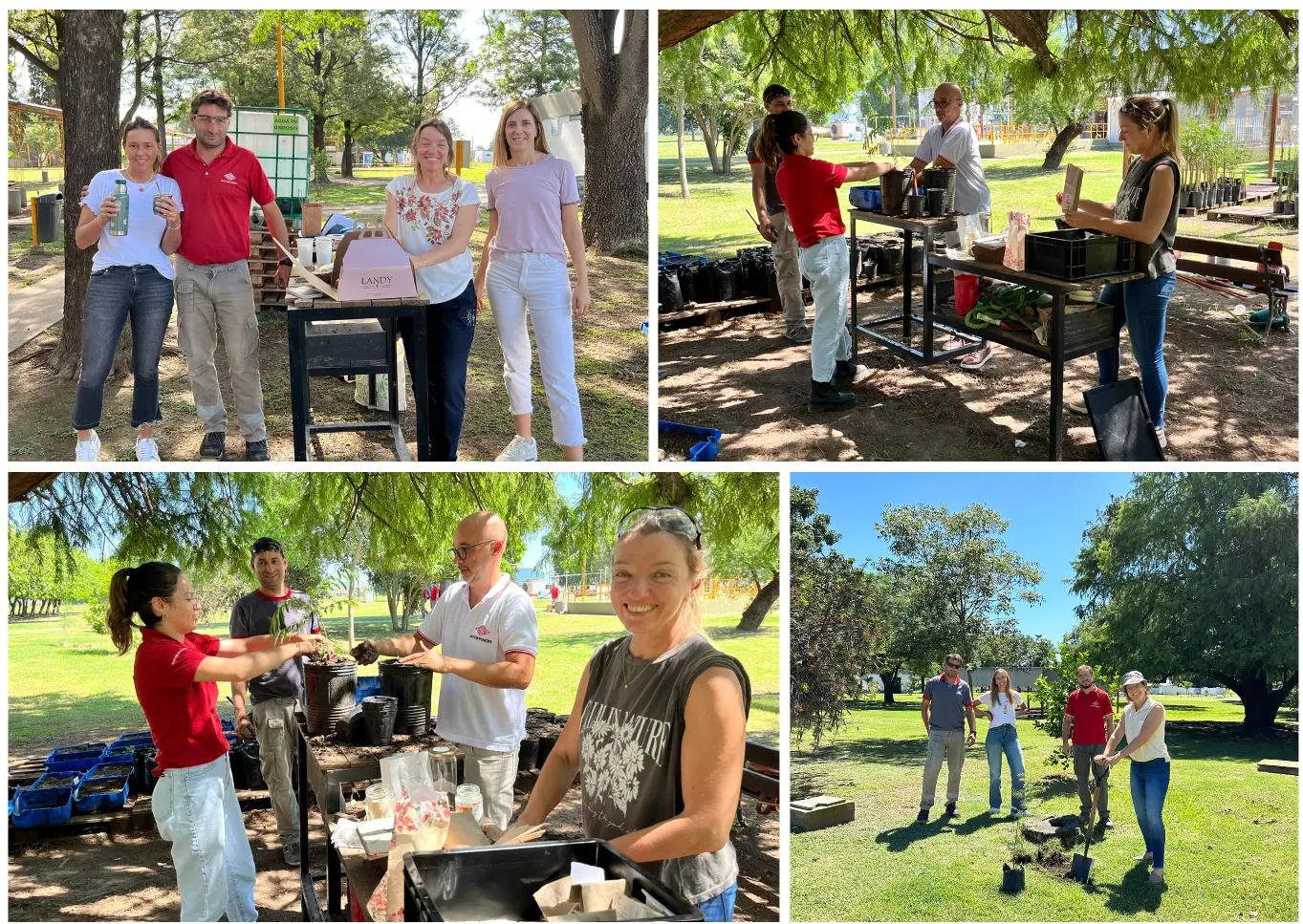 Reforestación en planta Rafaela, Argentina: un compromiso que echa raíces