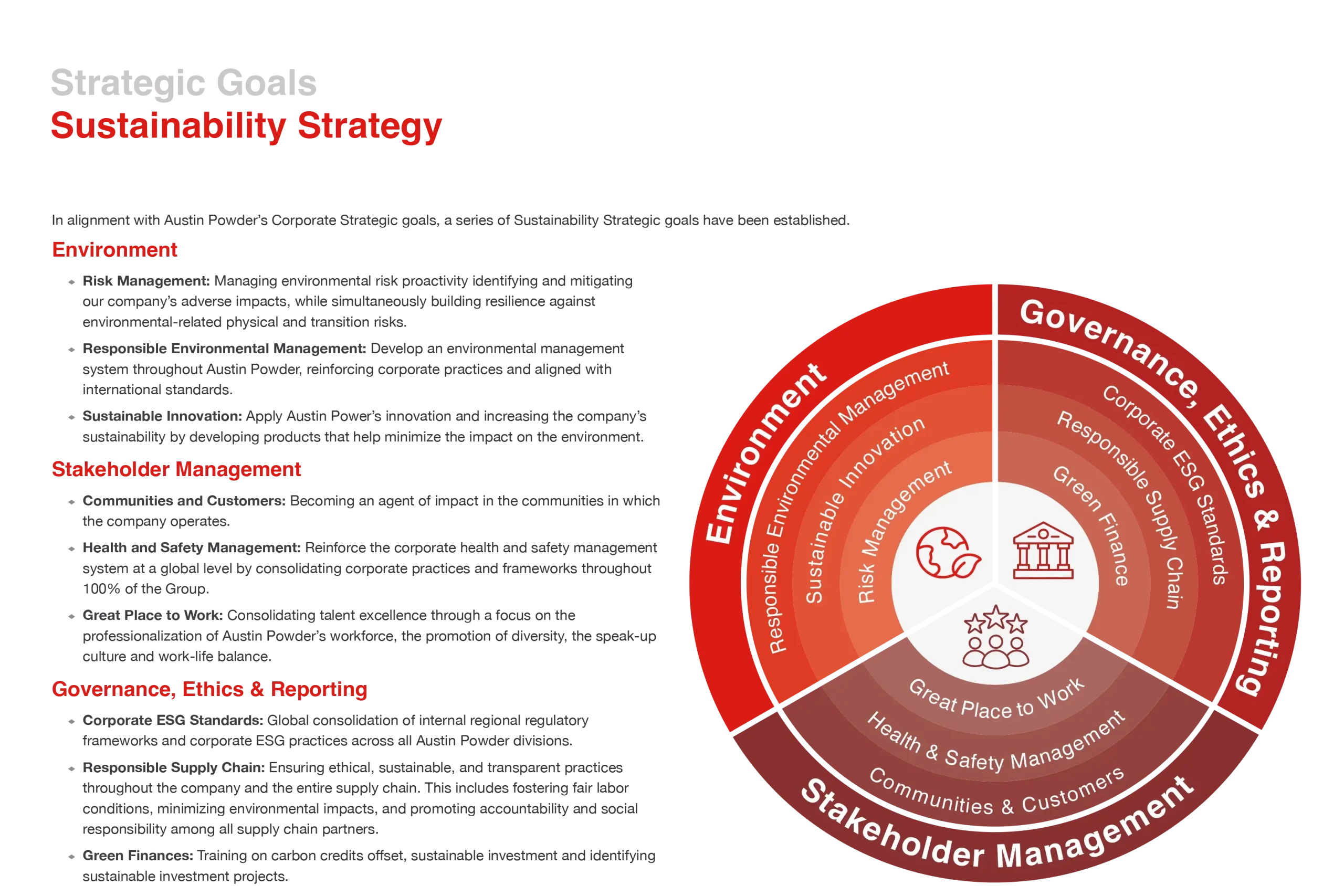 Sustainability Strategy Circle Graph