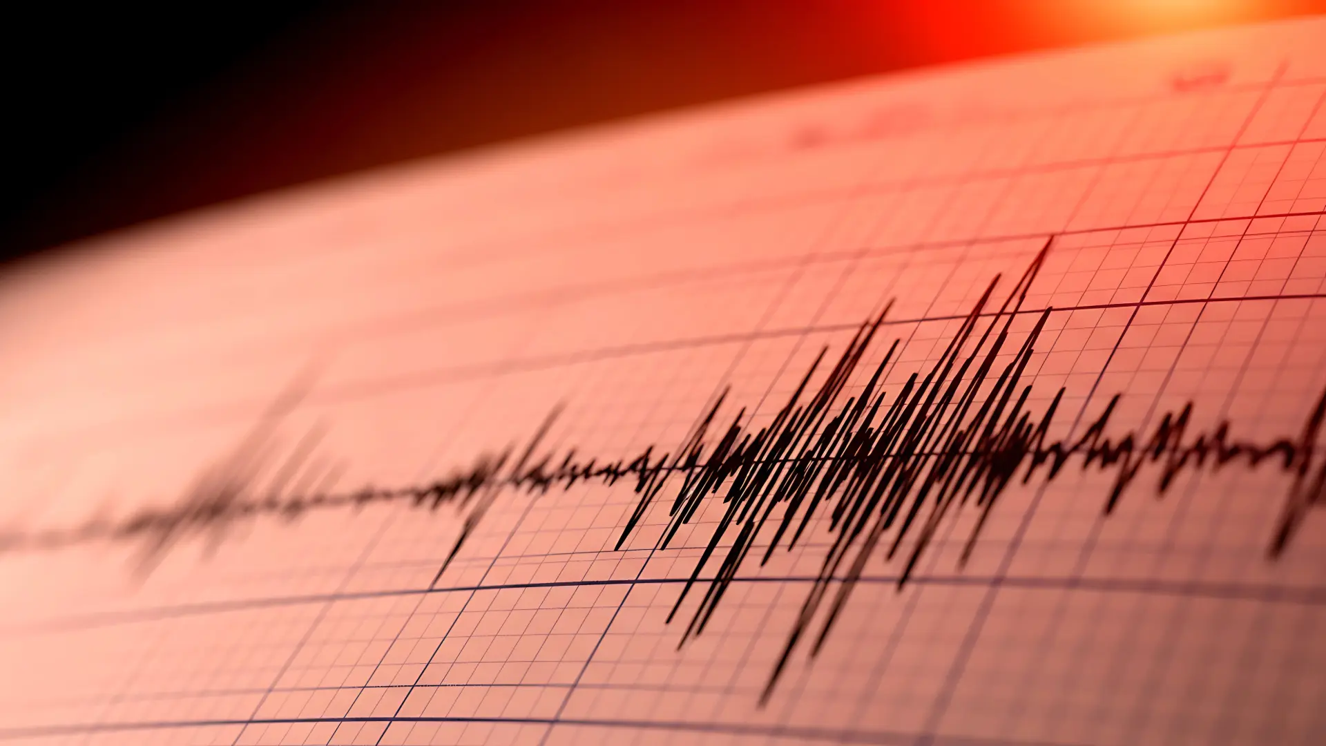 Seismograph reading
